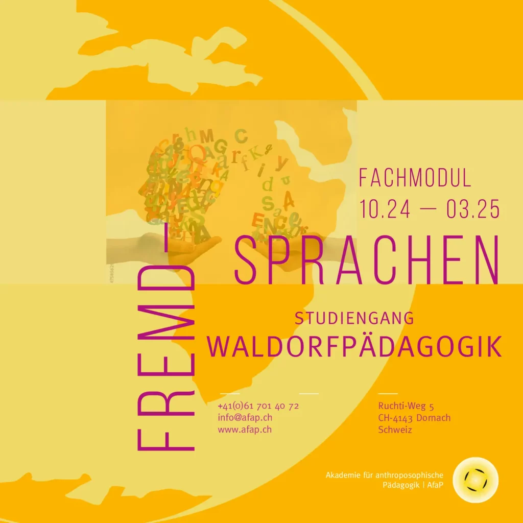 Personen zeigen auf einen Laptop, Thumbnail des Fachmoduls Fremdsprachen